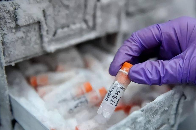 细胞冻存 细胞冻存